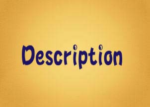 descriptionʲô˼W(wng)վdescription(bio)