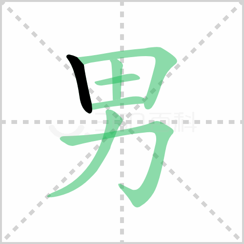 男的筆順