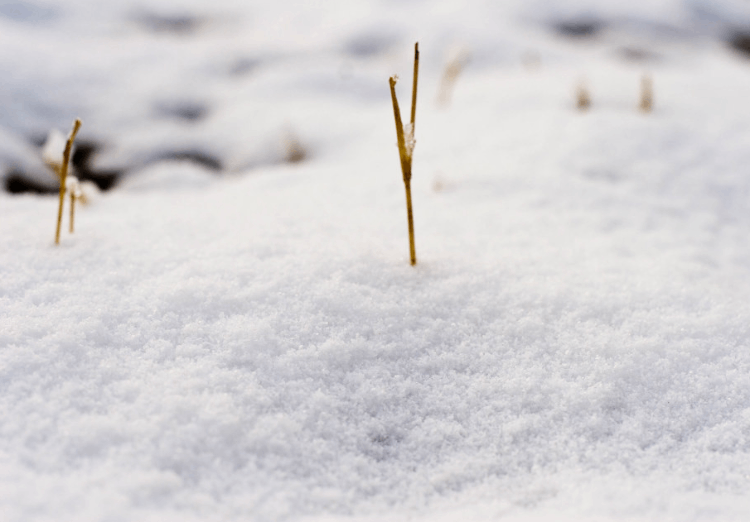 解夢(mèng)：夢(mèng)見(jiàn)下厚雪，恭喜你，最近運(yùn)勢(shì)不錯(cuò)