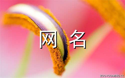 起什么網名好聽又旺財運