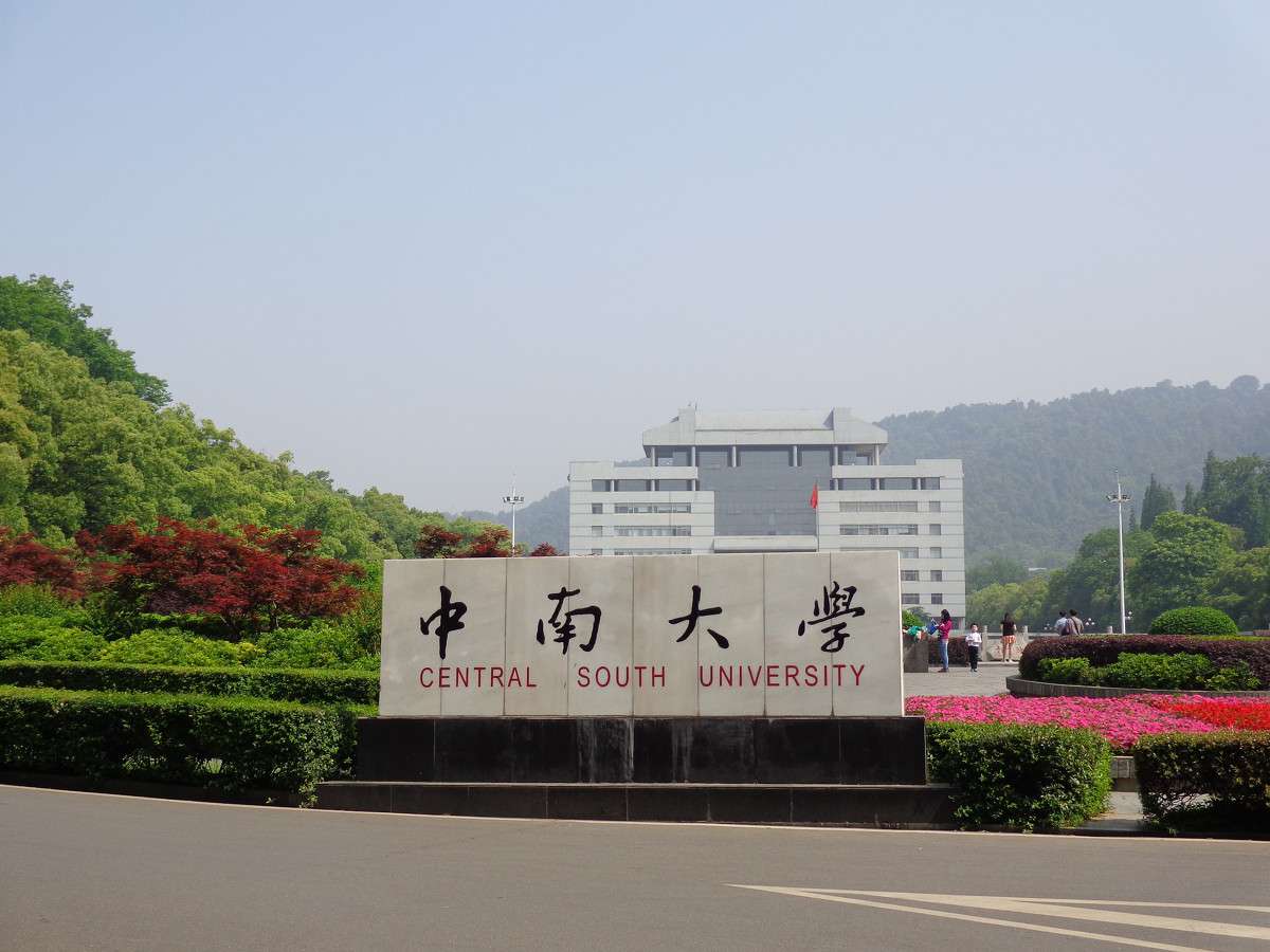 中南大學(xué)是985還是211大學(xué),2021年中南大學(xué)在各省份錄取詳情