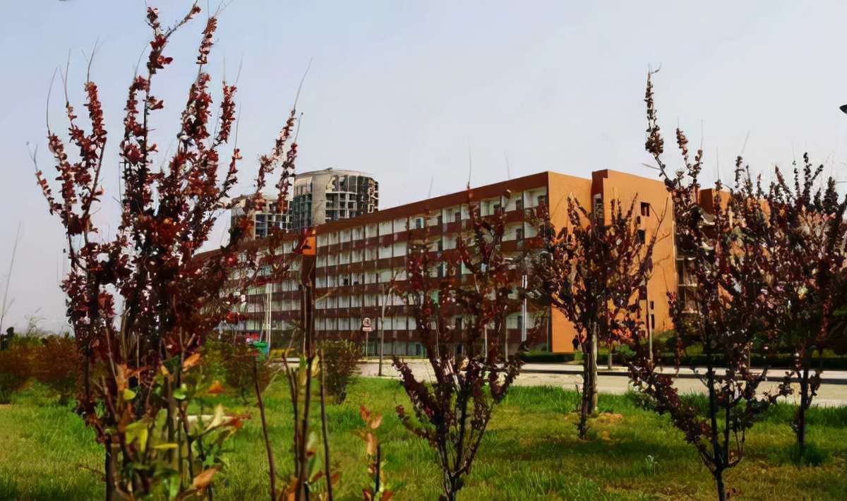 中國農業大學是211還是985,中國農業大學專業錄取分數線一覽