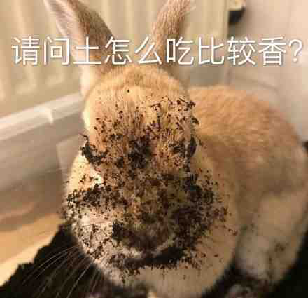 “雙11”和“黑五”的土，到底有什么區別？看這一篇就夠了
