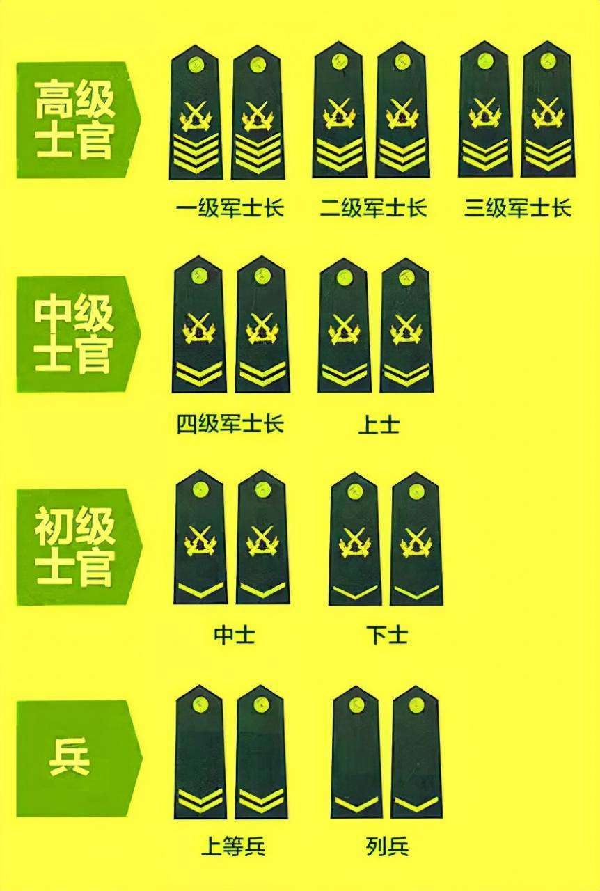 我國軍銜等級肩章排列圖片