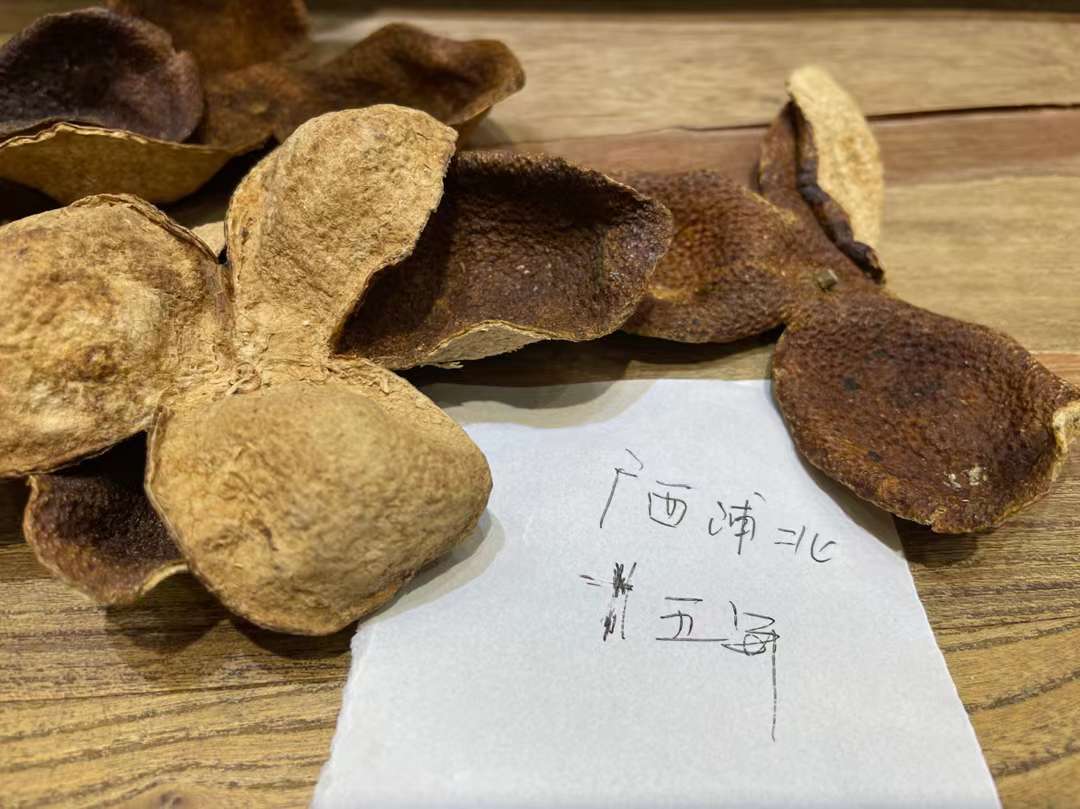 陳皮多少錢一斤(陳皮價(jià)格為什么差異大)