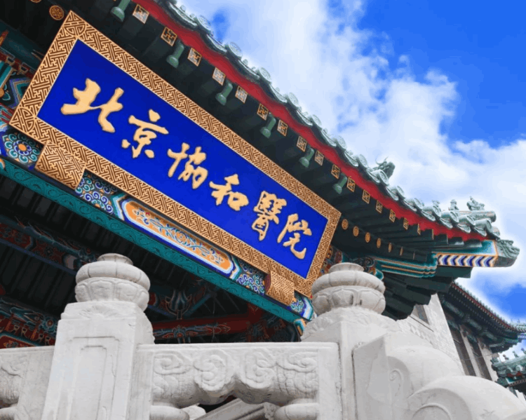 中國醫(yī)科大學全國排名,2022醫(yī)科類大學排行榜出爐