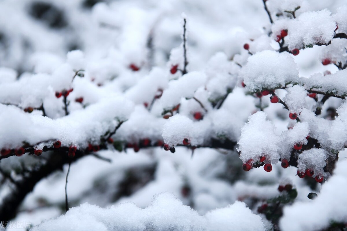 立冬下雪預兆什么(下雪的前兆是什么現象)