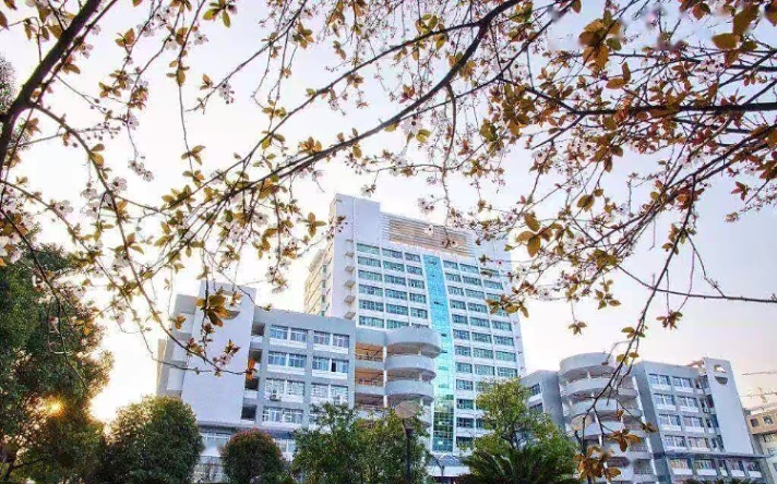 湖南高校排名(2022湖南省高校排行榜出爐)