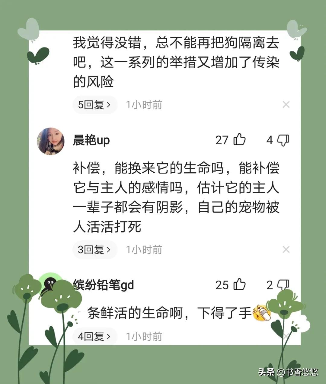 上海一柯基被打死(上海被打死柯基主人發聲)