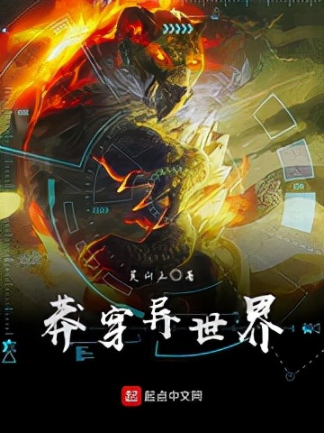 九轉(zhuǎn)鐵布衫小說