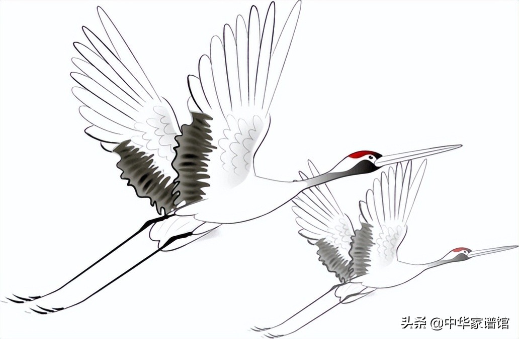 哪里能查到自己族譜(怎么查詢自己的家譜)