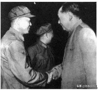 岳振華老婆簡歷是什么