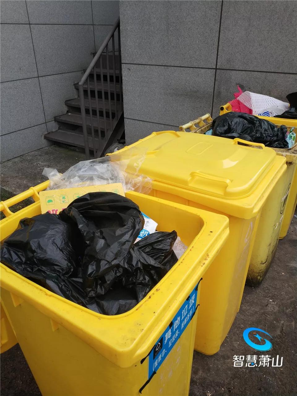 杭州胤隆會699服務項目純綠