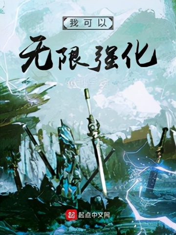 九轉(zhuǎn)鐵布衫小說