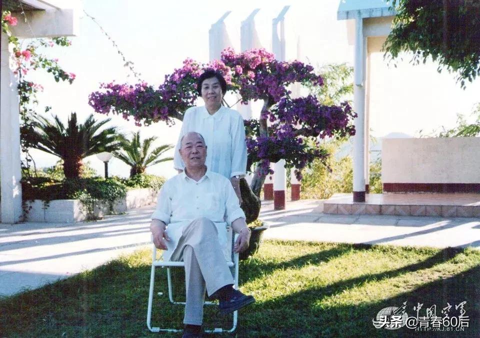 岳振華老婆簡歷是什么