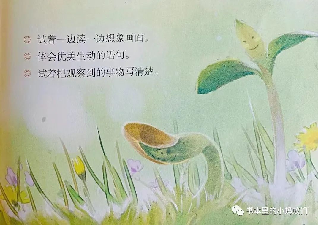 灰塵的旅行好詞好句摘抄