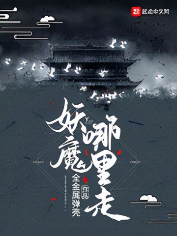 九轉(zhuǎn)鐵布衫小說
