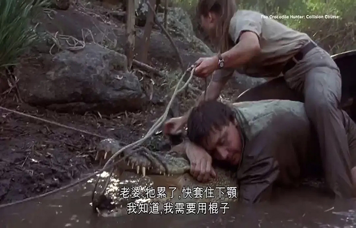 鱷魚電影十大恐怖電影(所有鱷魚電影大全)