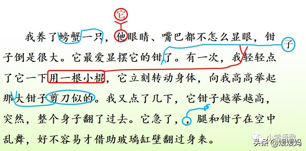 先寫現(xiàn)象再提出問(wèn)題的句子