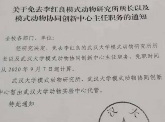 憑什么護(hù)士長(zhǎng)可以管醫(yī)生（護(hù)士長(zhǎng)在醫(yī)院地位高嗎）