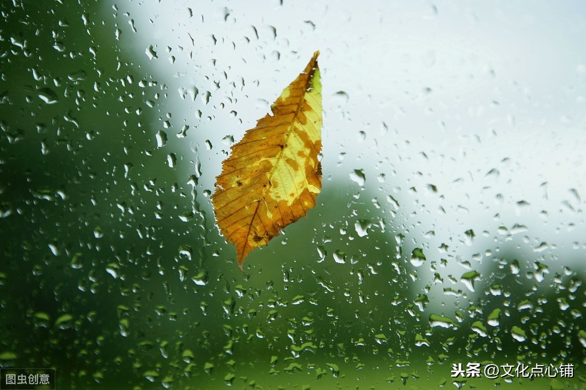 無奈朝來寒雨晚來風(fēng)(滿目山河空念遠(yuǎn),落花風(fēng)雨更傷春)