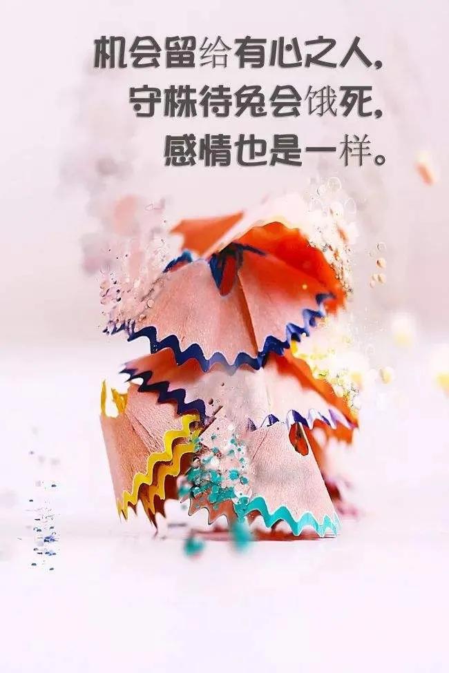 勵志的句子經典語句