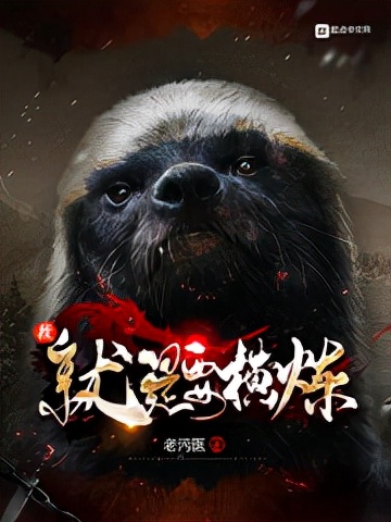 九轉(zhuǎn)鐵布衫小說