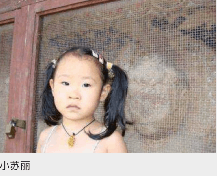 小蘇麗事件(小蘇麗事件原文過程)