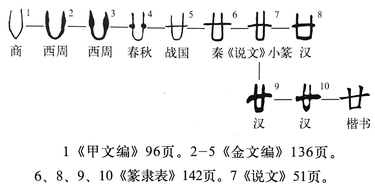 卄卄卅卅卌卌三字怎么讀(細說廿、卅、卌字的發展)