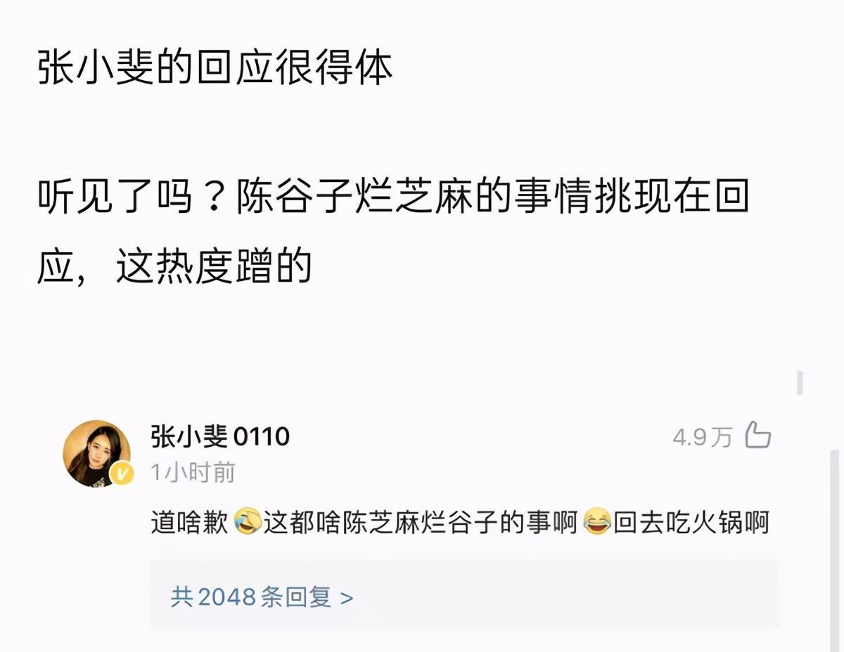 為什么說袁姍姍丑(袁姍姍為什么不火了)