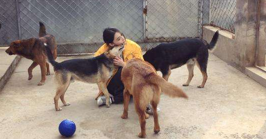 為什么要安樂死動物(動物可以安樂死嗎)