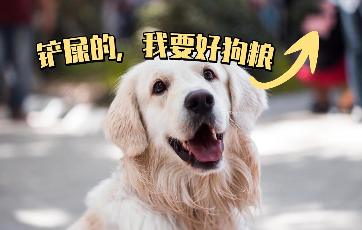 為什么咬人的狗不叫喚(小奶狗為什么喜歡咬人)
