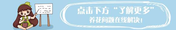 衛生間異味找不到原因(衛生間異味找不到原因分析)