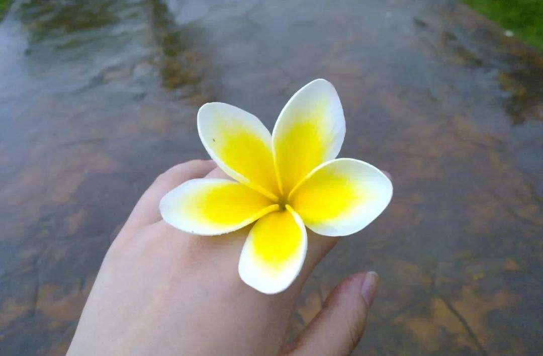 為什么人們會(huì)有貪婪或野心(為什么人們需要對(duì)抗貪婪)