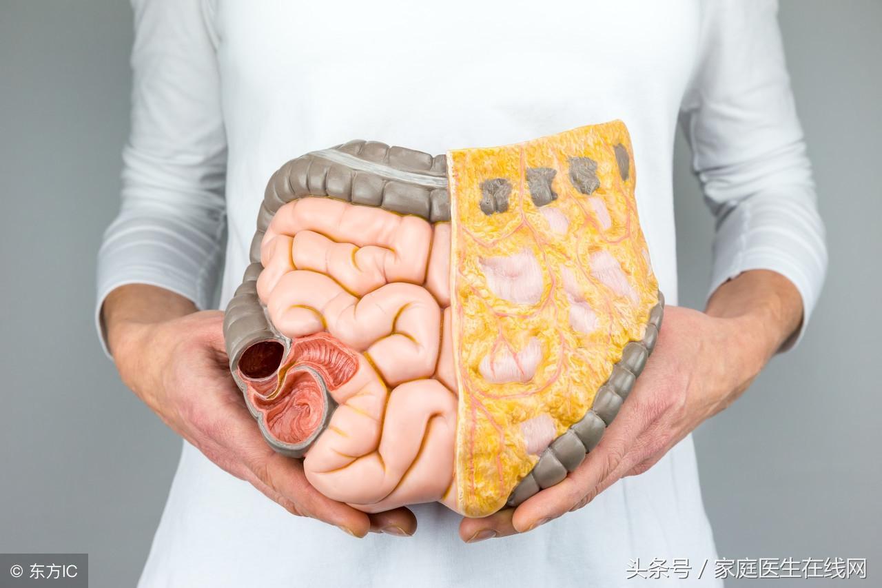 為什么女生非常胖(為什么有些女生怎么吃都不胖)