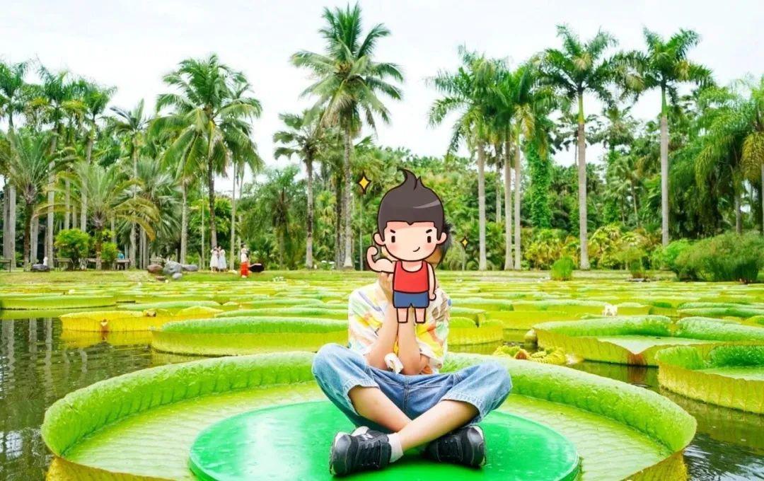 為什么叫盆栽精(地栽為什么比盆栽好)