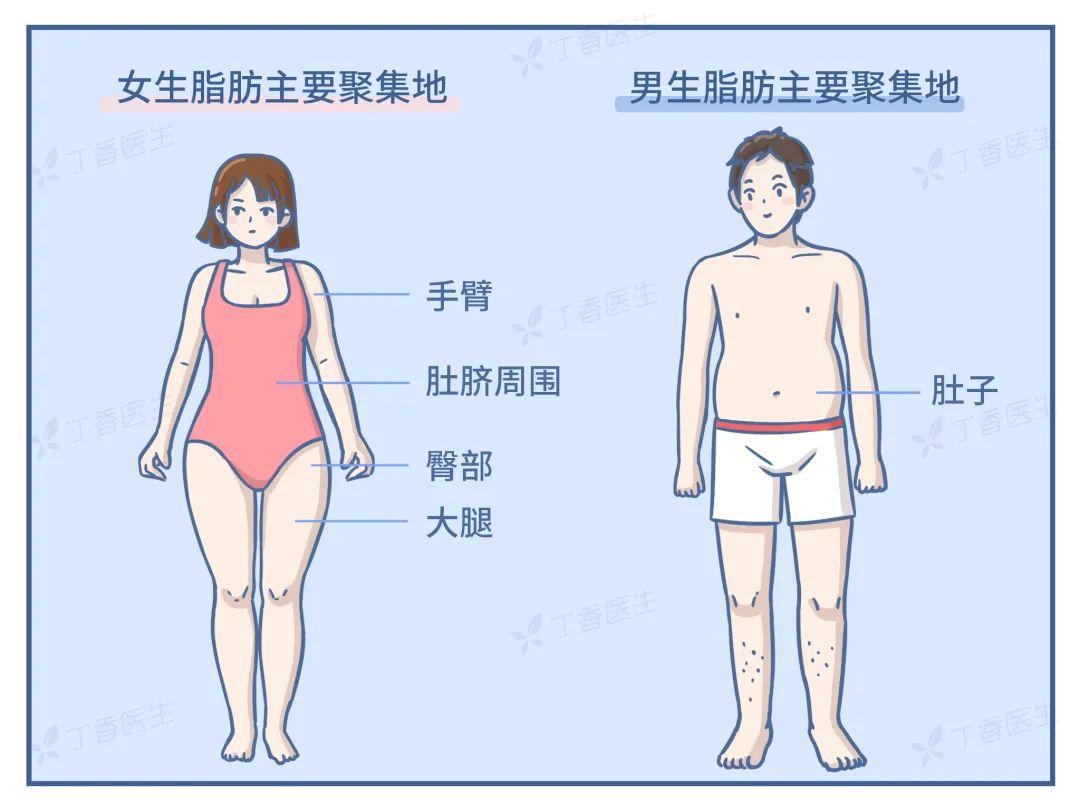 為什么女的腿都不直(為什么要看女的腿)