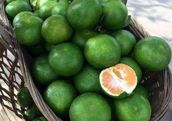 為什么會寒戰(zhàn)(為什么會寒戰(zhàn)之后一陣熱)