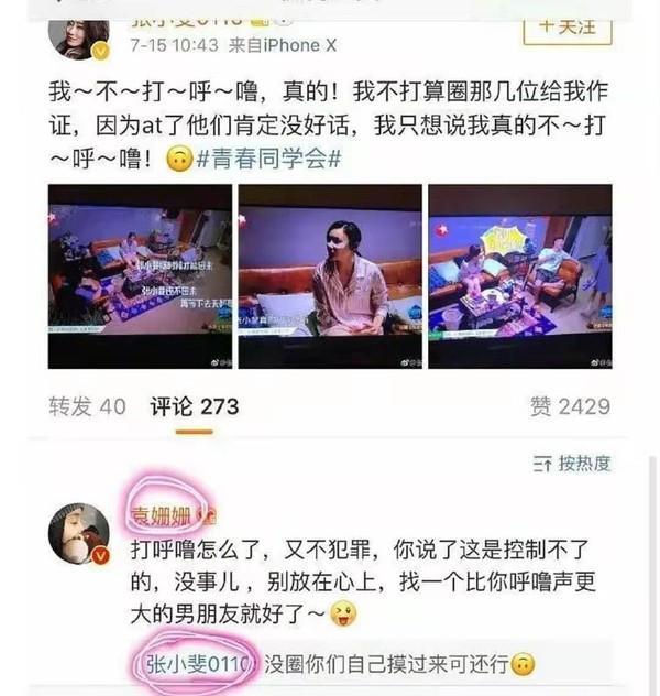 為什么說袁姍姍丑(袁姍姍為什么不火了)