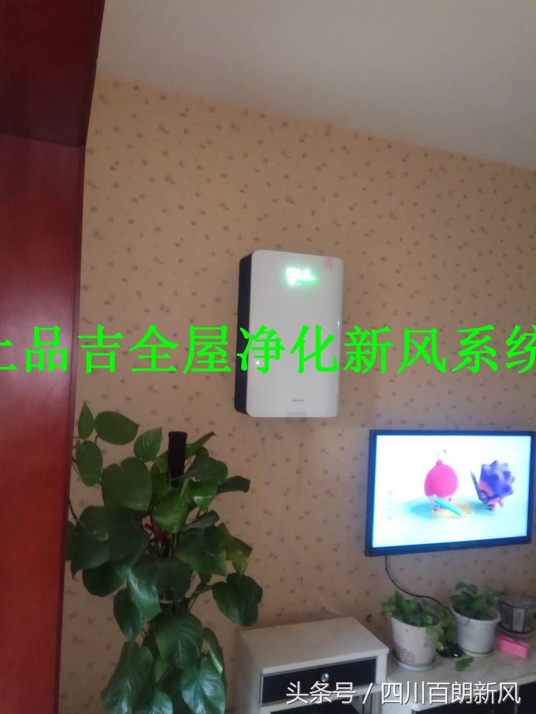 為什么公交車司機吸霧霾不死(為什么霧霾公交車免費)