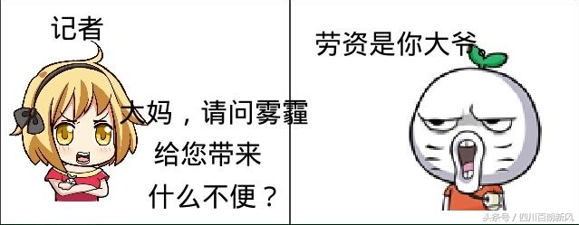 為什么公交車司機吸霧霾不死(為什么霧霾公交車免費)