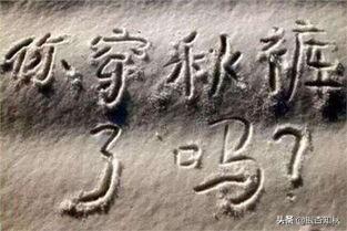 為什么叫秋褲(為什么叫秋褲大叔)