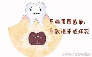 為什么長小肉球(為什么牙旁邊長小肉球)