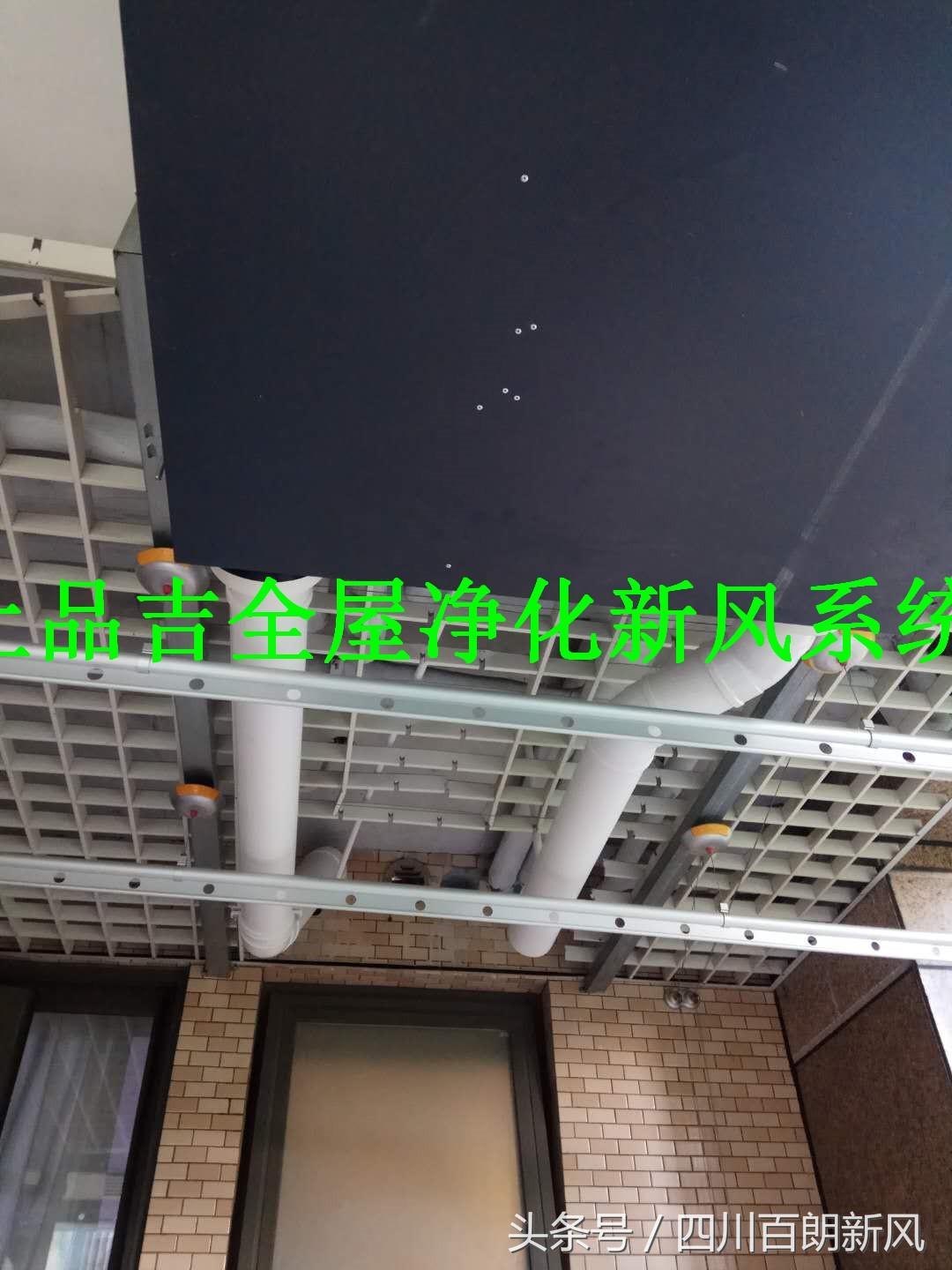 為什么公交車司機吸霧霾不死(為什么霧霾公交車免費)