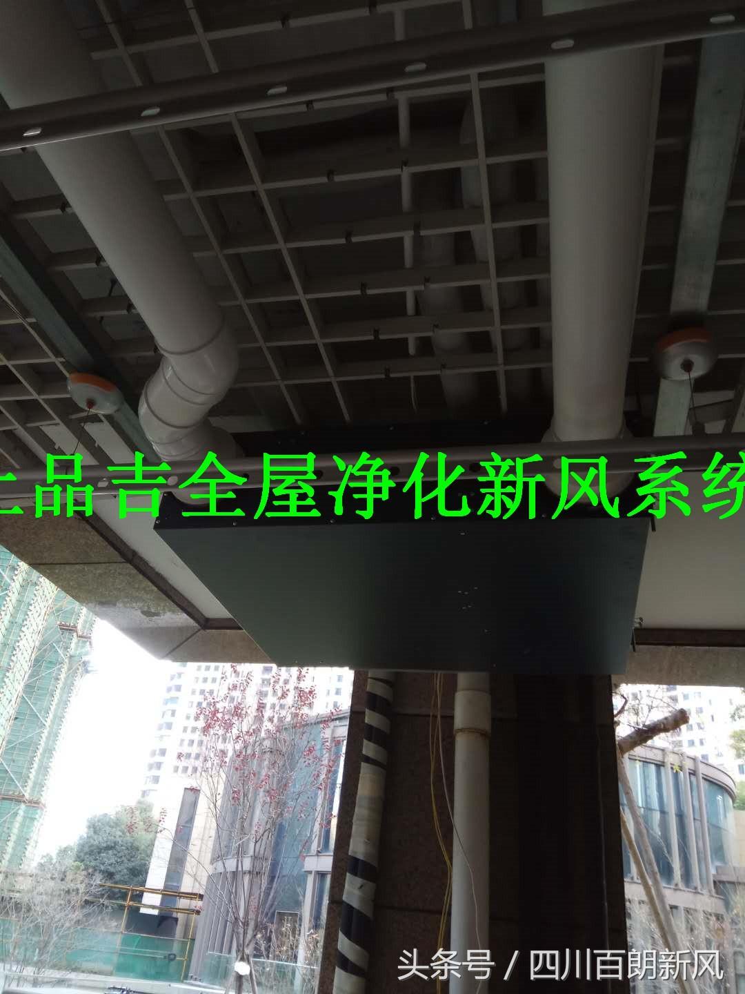 為什么公交車司機吸霧霾不死(為什么霧霾公交車免費)