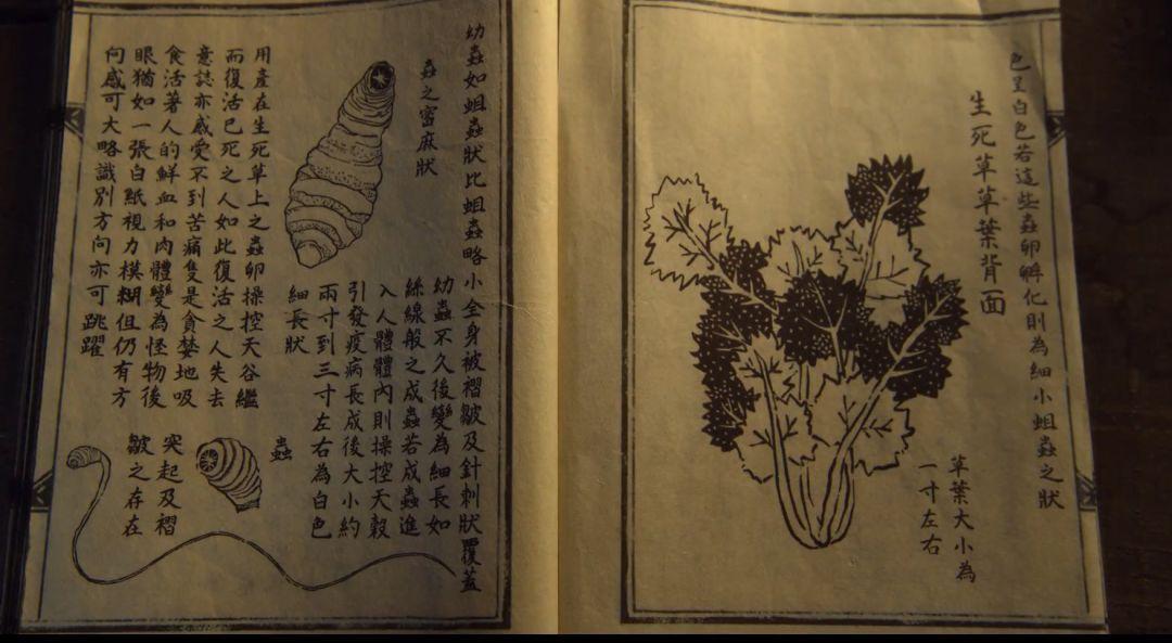 為什么救趙(為什么救趙學州)
