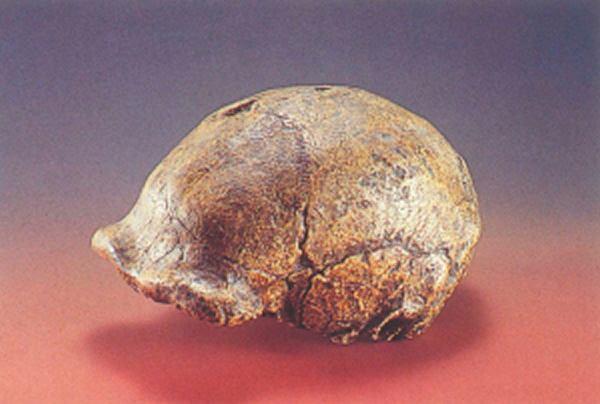 中國遺失十大無價之寶(流失在外的超級國寶)