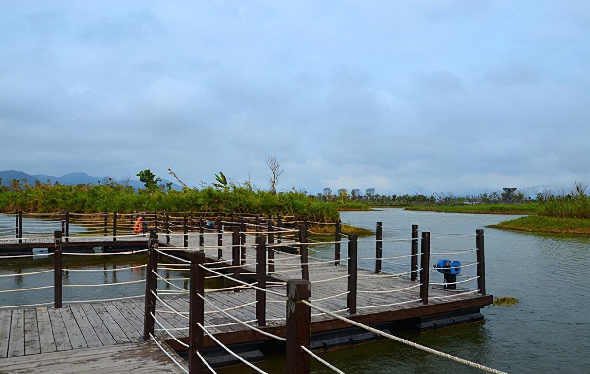 珠海有哪些公園好玩(盤點(diǎn)珠海最值得去4個(gè)的公園)