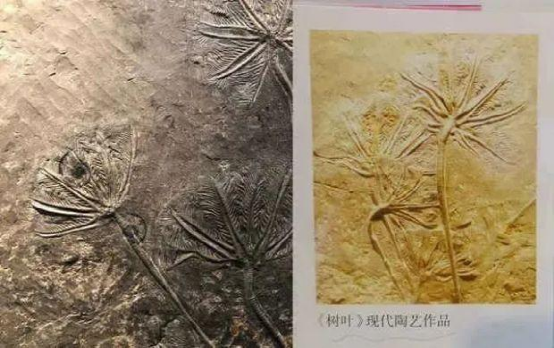 教材又出問題,上海五年級小學(xué)生指出數(shù)學(xué)教材錯誤上熱搜,專家回應(yīng)了