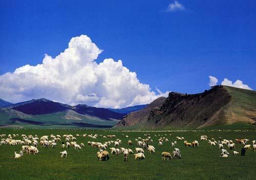 中國最大城市排名前十(中國面積最大的地級市排名)